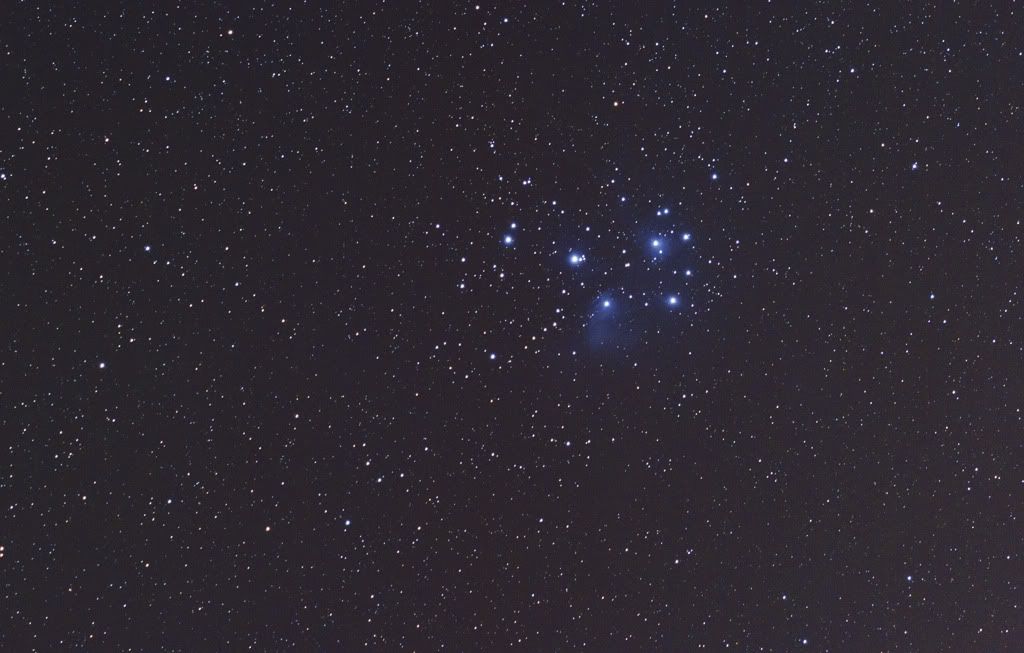 IMAGE: http://i72.photobucket.com/albums/i192/garlicpickle/Canon/lrsmall-_zps1623e710.jpg