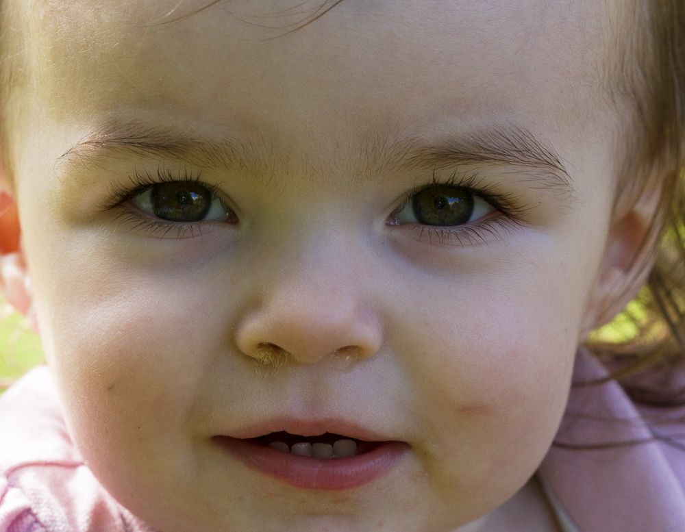 IMAGE: http://i72.photobucket.com/albums/i192/garlicpickle/lr1small-3019_zpsup4ny5g5.jpg