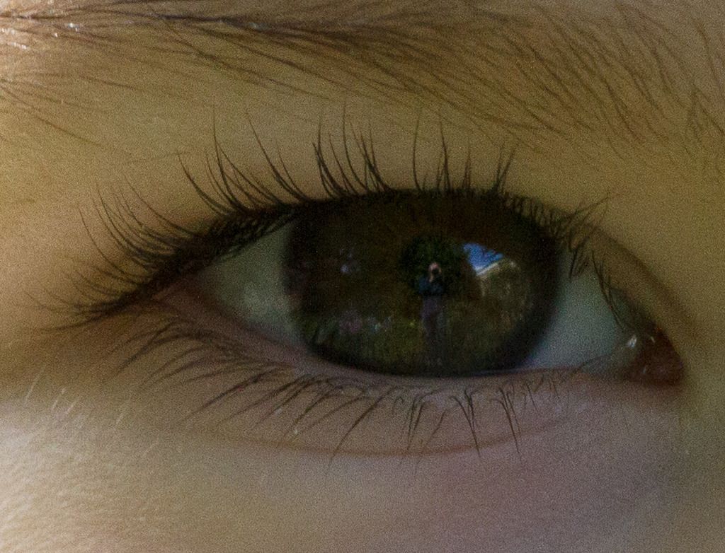 IMAGE: http://i72.photobucket.com/albums/i192/garlicpickle/lr1smallcrop-3019_zpsnkb6j5uc.jpg