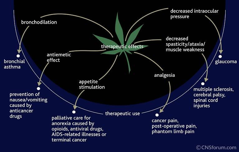 therapy_cannabis2.jpg