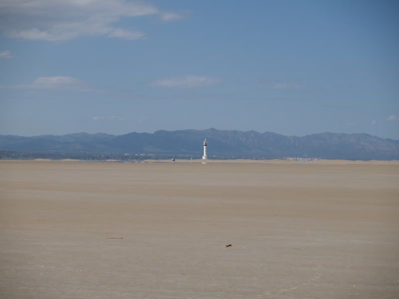 Deltajunio0780.jpg