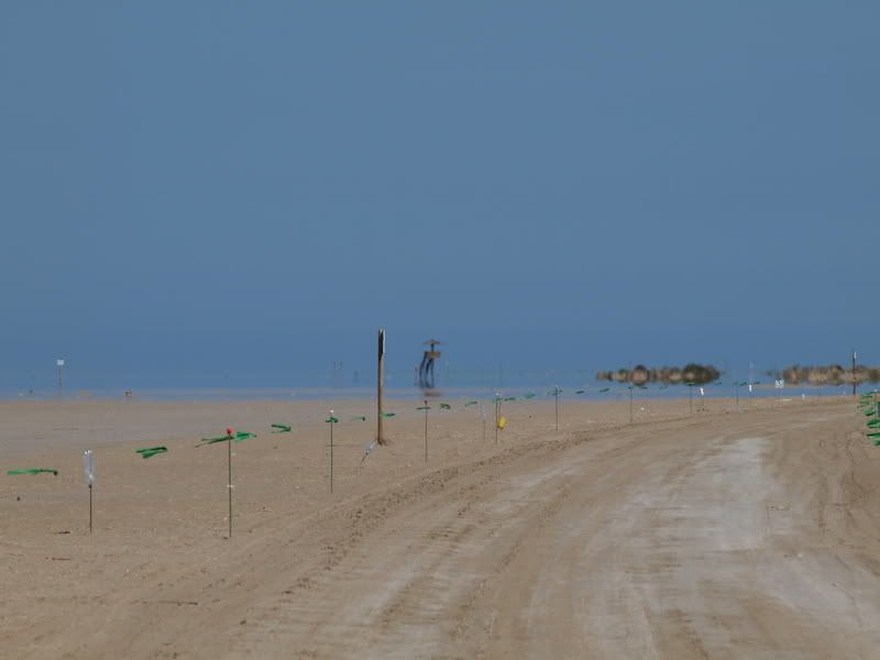Deltajunio0791.jpg