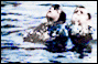 http://i72.photobucket.com/albums/i196/wnhs_2008/Supernatural/LJ%20moods/relieved.gif