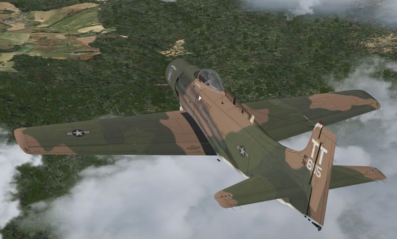 LT_3.jpg
