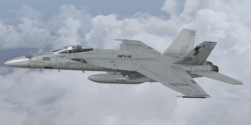 VMFA-142.jpg