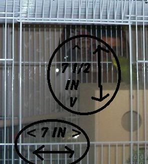 cagedoor-1.jpg