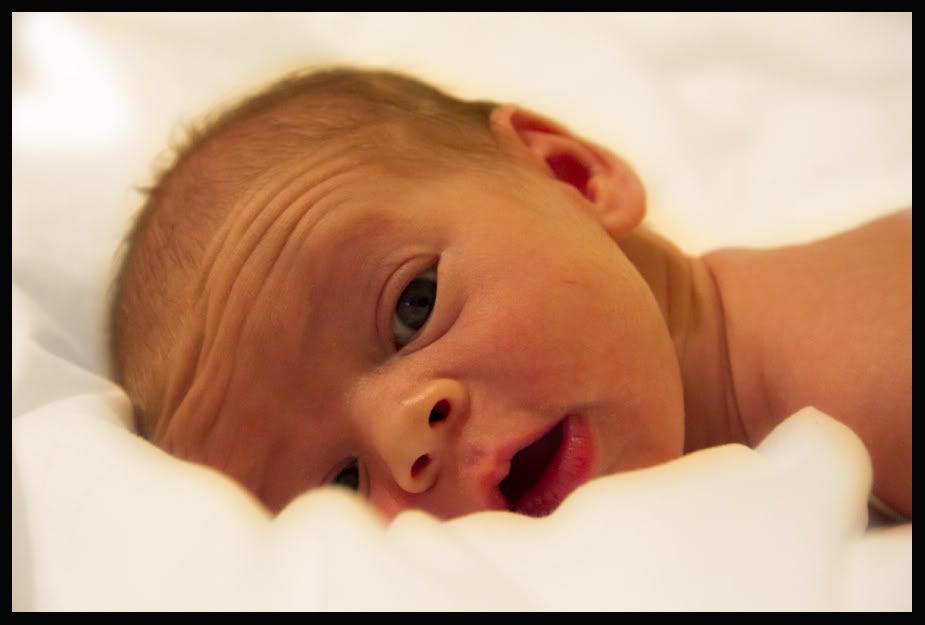 IMAGE: http://i72.photobucket.com/albums/i199/imawingnut/0e697dd4.jpg