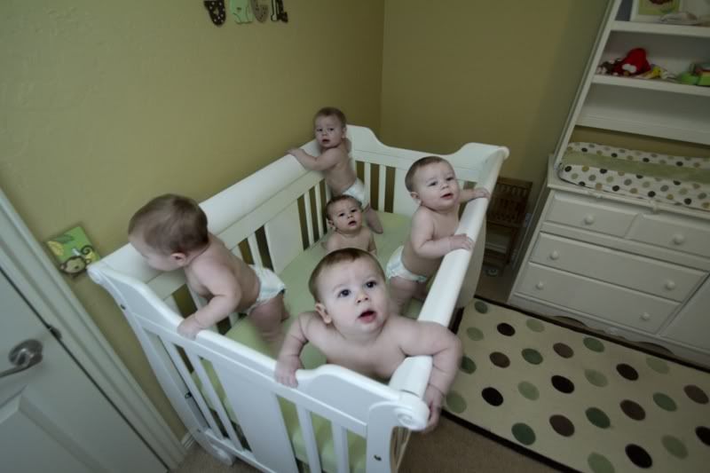 IMAGE: http://i72.photobucket.com/albums/i199/imawingnut/79a4376d.jpg