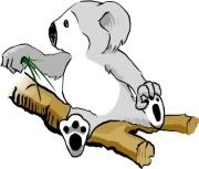 Koala Cartoon Pictures