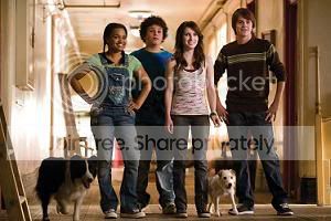 Um hotel bom pra cachorro