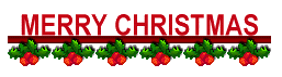 Merry Christmas..2010 banner