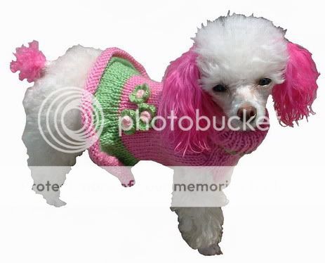 Dog Clothes Sweater Girlie Girl Pink Green XXS thru XL Chihuahua Yorkie