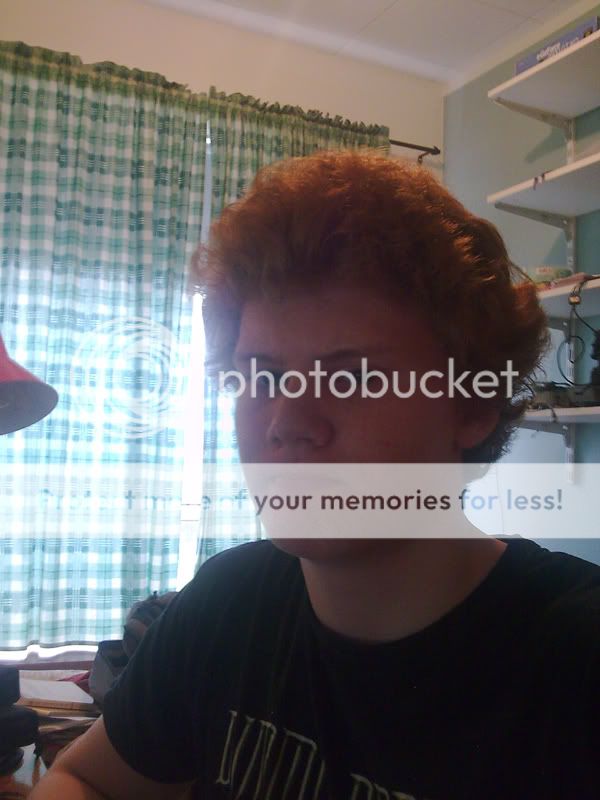 https://i72.photobucket.com/albums/i194/PBAsydney/gingerfro.jpg